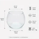 Japon Fanus Cam Akvaryum – 18 cm