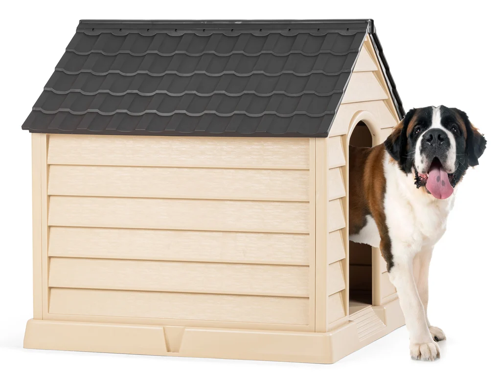 Büyük Köpek Kulübesi - Görsel 4