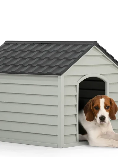Küçük Köpek Kulübesi