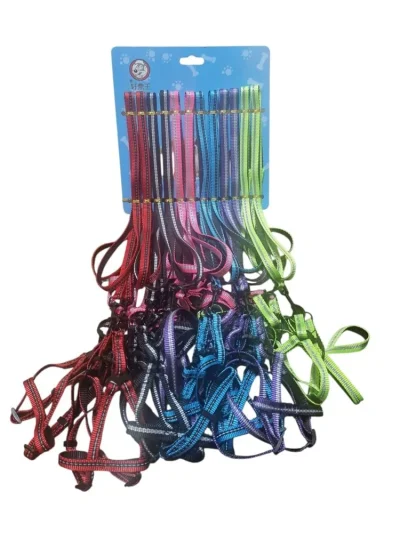 BRC-71 Gezdirme Takım Tasma 1cm*120cm