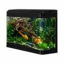 Tank - K800 İthal Akvaryum 80x38x69,5 cm