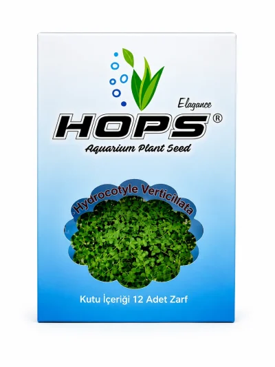 HOPS Hydrocotyle Verticillata Akvaryum Bitki Tohumu (12 Zarflı)