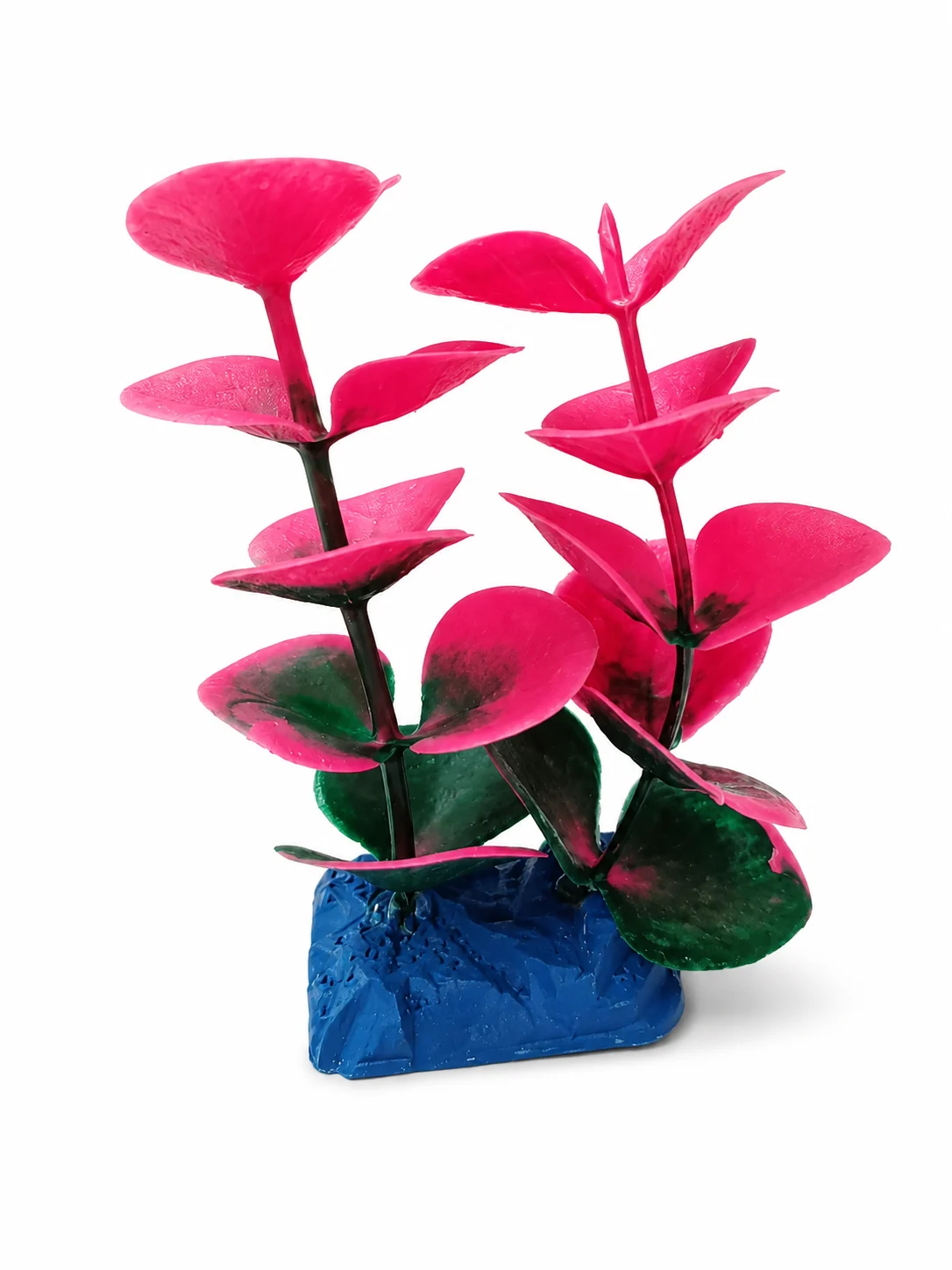 Pembe & Yeşil Nilüfer