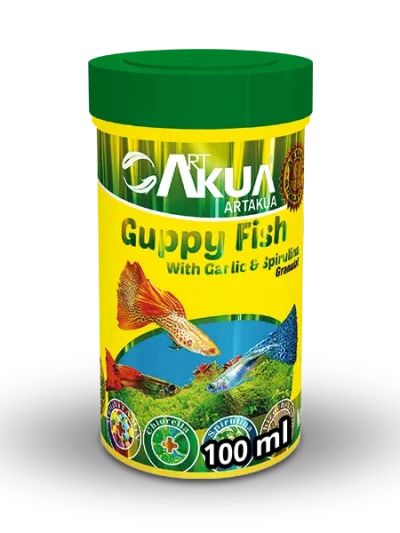 Guppy Fish
